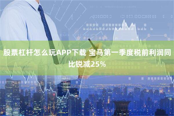 股票杠杆怎么玩APP下载 宝马第一季度税前利润同比锐减25%